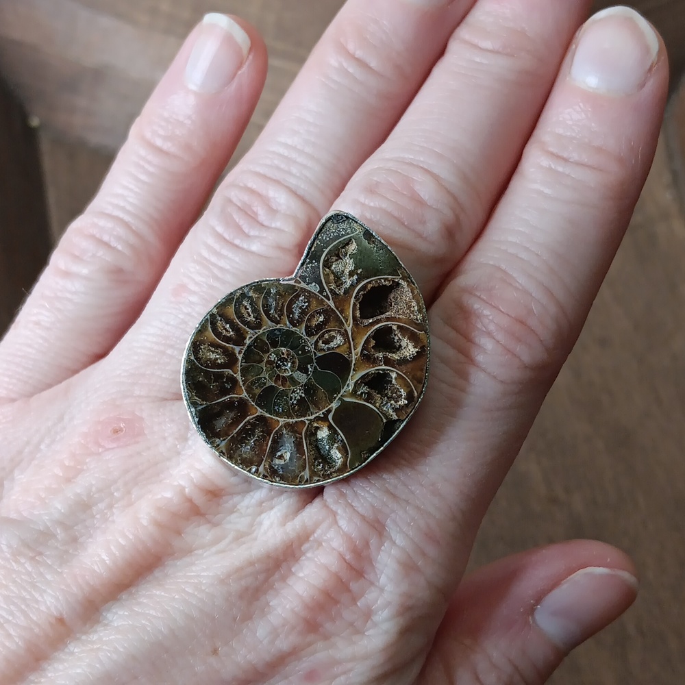 Ammonite fossil ring, size 9